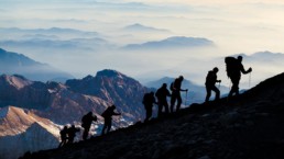 SAP intelligence enterprise